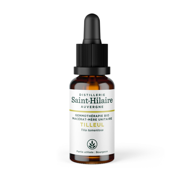 Macérat de tilleul bio - 1