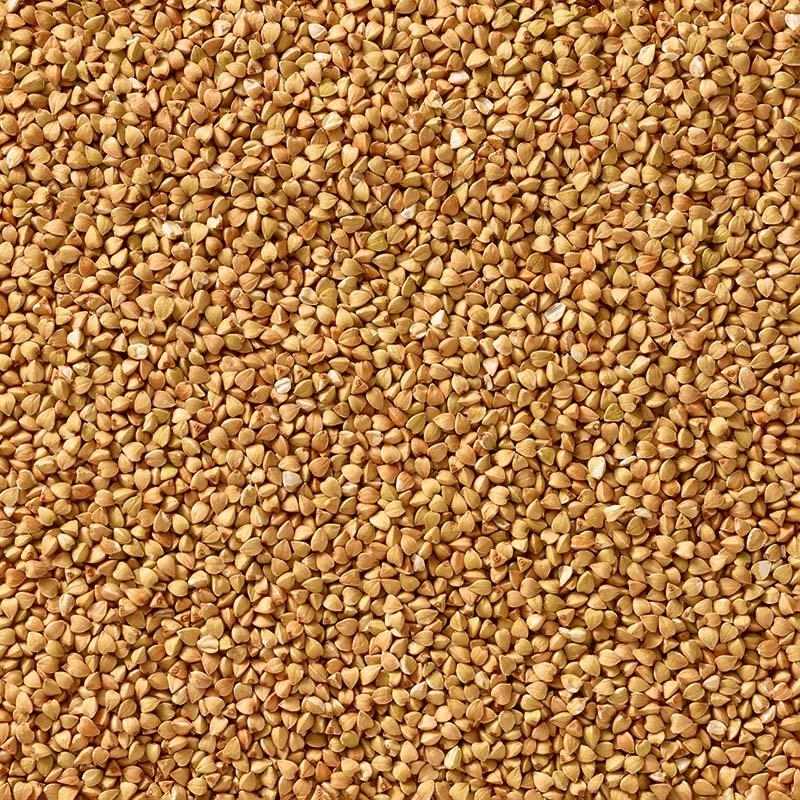 Atelier Sarrasin -- Graines de sarrasin décortiquées vrac (origine France) - 3 kg
